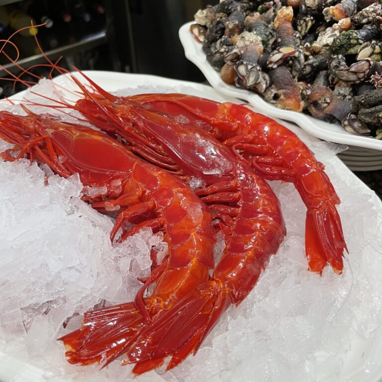 Bar Ganbarra