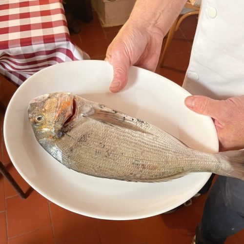 La Telline